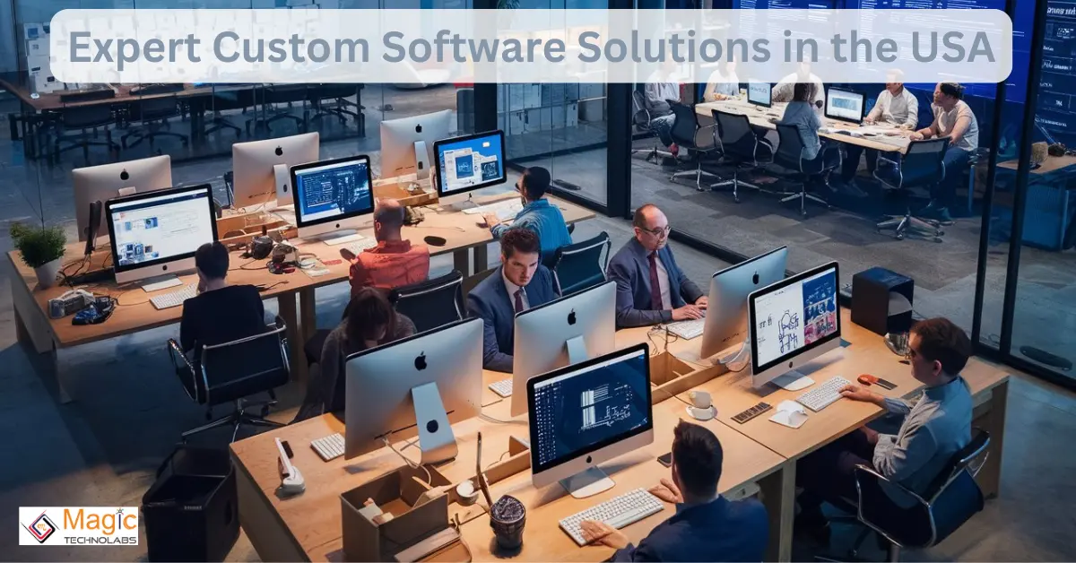 Expert Custom Software Solutions in the USA